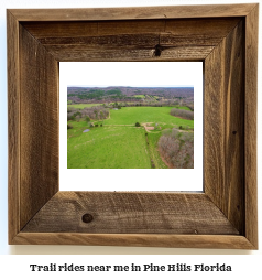 trail rides near me in Pine Hills, Florida